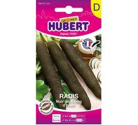 Graines de radis noir - Gros long d'hiver - Sachet de 8 g - Environ 600 graines - Racine longue noire - Chair blanche