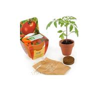 Radis et Capucine - Mini kit de culture - Tomate Cerise bio - 6cm
