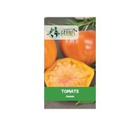 graines de tomate jaune ananas 0,300 grammes soit environ 120 graines - Planète graines - Solanum lycopersicum