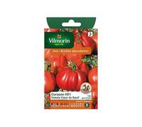 Graines De Tomate Variété 'c?Ur De B?Uf Corazon Hf1' Vilmorin Semis De Février À Mai