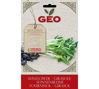Graines de tournesol bio pour germes 80 g Semi-semence semence semences seeds