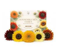 Graines de tournesol colorées à haut taux de germination - graines de fleurs pour un jardin coloré et propice aux abeilles (lot de 5)