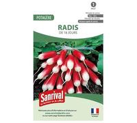 Graines Radis de 18 jours