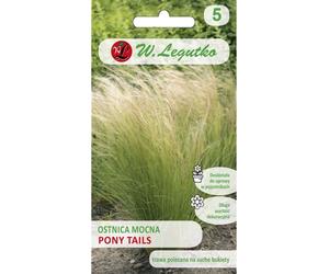 Graines, Stipa pennata Pony Tails - verte 50 g