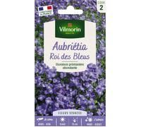 Graines - Vilmorin - Aubriétia Roi des Bleus