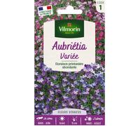 Graines - Vilmorin - Aubriétia Variée
