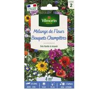 Vilmorin – Graines – Bouquets Champêtres – Mélange de fleurs – 4 m²