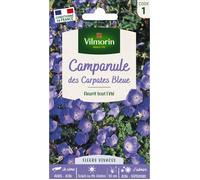 Graines - Vilmorin - Campanule des Carpates Bleue