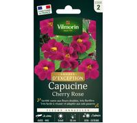 Graines - Vilmorin - Capucine Cherry Rose - Graines d'Exception