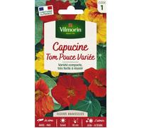 Graines - Vilmorin - Capucine Tom Pouce en Mélange