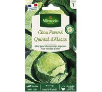 Graines - Vilmorin - Chou Blanc Quintal d'Alsace