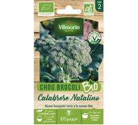 Graines - Vilmorin - Chou Brocoli Calabrese Natalino - BIO