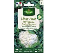 Graines - Vilmorin - Chou-Fleur Merveille des 4 Saisons