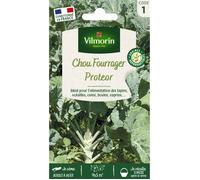 Graines - Vilmorin - Chou Fourrager Protéor (Obtention I.N.R.A.)