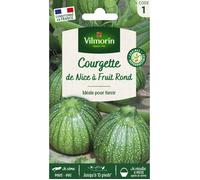 Graines - Vilmorin - Courgette de Nice à Fruit Rond