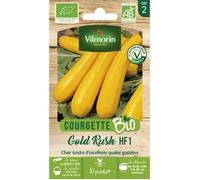 Graines - Vilmorin - Courgette Jaune Gold Rush HF1 - BIO