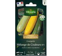 Graines - Vilmorin - Courgette Mélange de Couleurs - Graines d'Exception