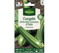Graines - Vilmorin - Courgette Verte Non Coureuse d'Italie