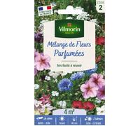 Graines - Vilmorin - Fleurs Parfumées - 4 m² - Mélange de fleurs