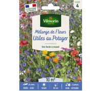 Graines - Vilmorin - Fleurs Utiles au Potager - 10 m² - Mélange de fleurs