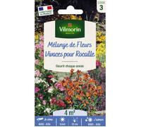 Vilmorin Graines Pack Fleurs vivaces pour rocaille – Mélange 4 m²