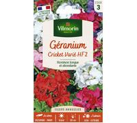 Graines - Vilmorin - Géranium Cricket Varié