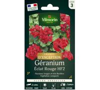 Graines - Vilmorin - Géranium Eclat Rouge HF2 - Graines d'Exception