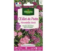 Graines - Vilmorin - Œillet de Poète Hirondelle Varié