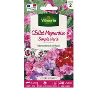 Graines - Vilmorin - Œillet Mignardise Simple Varié