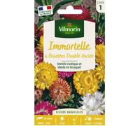 Graines - Vilmorin - Immortelle à Bractées Double Variée