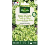 Graines - Vilmorin - Laitue à Couper Feuille de Chêne Blonde à Graine Noire