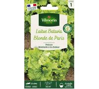 Graines - Vilmorin - Laitue Batavia Blonde de Paris