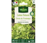 Graines - Vilmorin - Laitue Batavia Dorée de Printemps
