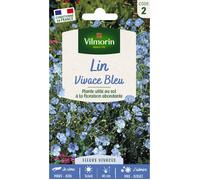 Graines - Vilmorin - Lin Bleu