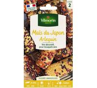 Maïs du Japon Arlequin