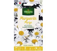 Graines - Vilmorin - Marguerite Margo