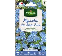 Graines - Vilmorin - Myosotis des Alpes Bleu
