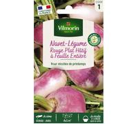 Graines - Vilmorin - Navet-Légume Rouge Plat Hâtif à Feuille Entière