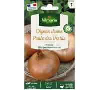 Graines - Vilmorin - Oignon Jaune Paille des Vertus
