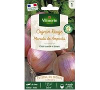 Graines - Vilmorin - Oignon Rouge Morada de Amposta - Cuisine du Monde