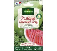 Graines - Vilmorin - Pastèque Charleston Gray - Cuisine du Monde