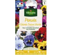 Graines - Vilmorin - Pensée Géante Suisse Variée