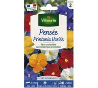 Graines - Vilmorin - Pensée Printania Variée