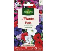 Graines - Vilmorin - Pétunia Varié
