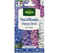 Graines - Vilmorin - Pied d'Alouette Vivace Varié