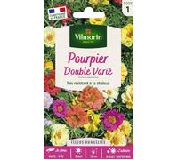 Graines - Vilmorin - Pourpier Double Varié
