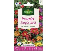 Graines - Vilmorin - Pourpier Simple Varié