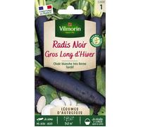 Graines - Vilmorin - Radis noir long d'hiver - Légumes d'Autrefois