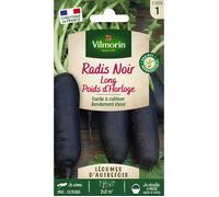Graines - Vilmorin - Radis Noir Long Poids d'Horloge - Légumes d'Autrefois