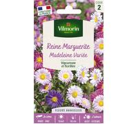 Graines - Vilmorin - Reine-Marguerite Simple Variée